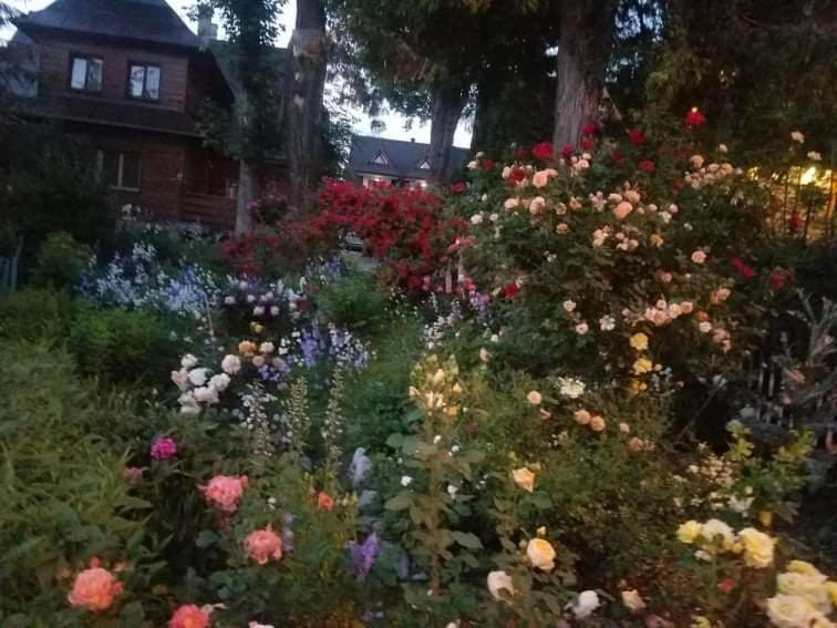 Kamieniec Apartament *