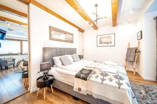 Apartment Kamieniec Zakopane